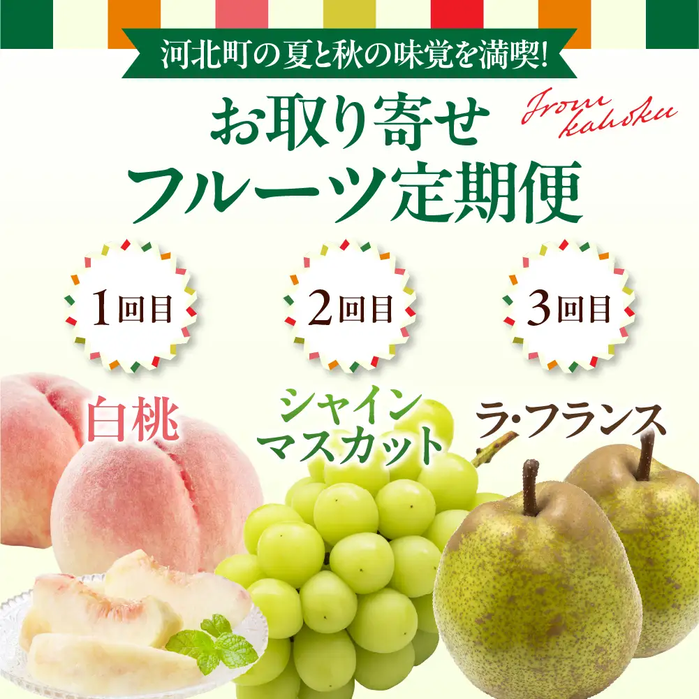 定期便 3回 夏秋満喫 桃 シャインマスカット 洋梨 定期便 フルーツ