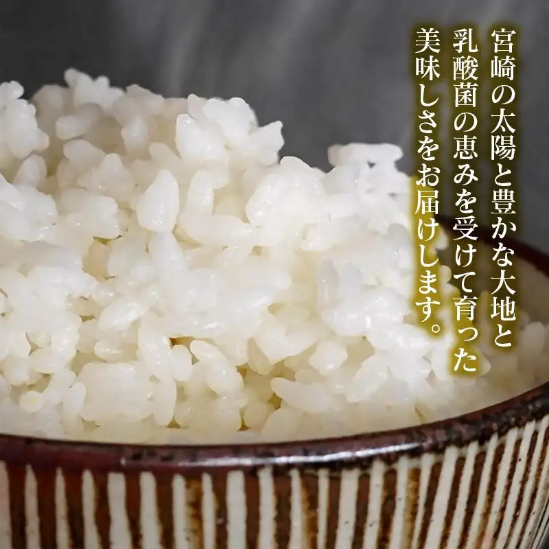 【令和8年産新米・先行予約】農家直送 ヒノヒカリ 10kg 精米済み 10月より発送開始＜57-4a＞