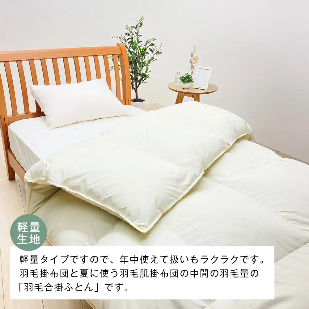 薄掛け羽毛 合い掛け 日本製 800g エクセルゴールド 軽量生地 ふわかる1508