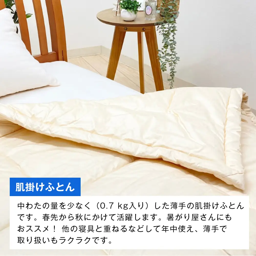 清潔掛ふとん 洗えるインビスタ ダクロン 肌掛布団 日本製 SL ふわもち1507