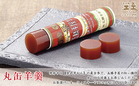 五勝手屋本舗『ミニ丸缶羊羹』5本セット　金時豆のようかん　保存料不使用　五勝手屋羊羹の老舗　和菓子　銘菓　名物　贈答用　ギフト