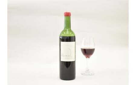 塩谷メルロー 2022 赤ワイン 750ml 2本セット