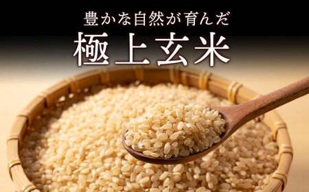 令和7年産新米 コシヒカリ玄米30kg ｜ 米 お米 国産 栃木県 塩谷町 ※2025年12月上旬～2026年9月中旬頃に順次発送予定