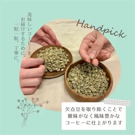 【自家焙煎】香り豊かなドリップバッグコーヒー　お試し15袋セット(5種×3袋)【1612415】