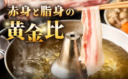 2254 鹿児島県産 黒豚 バラ しゃぶしゃぶ 400g KN088-003 肉 豚肉 鍋