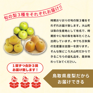 DS-11　梨の食べ比べ頒布会（二十世紀梨・あきづき梨・王秋梨）