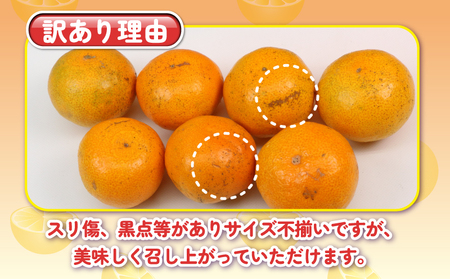 【柑橘】 訳あり 南柑20号 10kg 杉本屋 柑橘 B018-143028