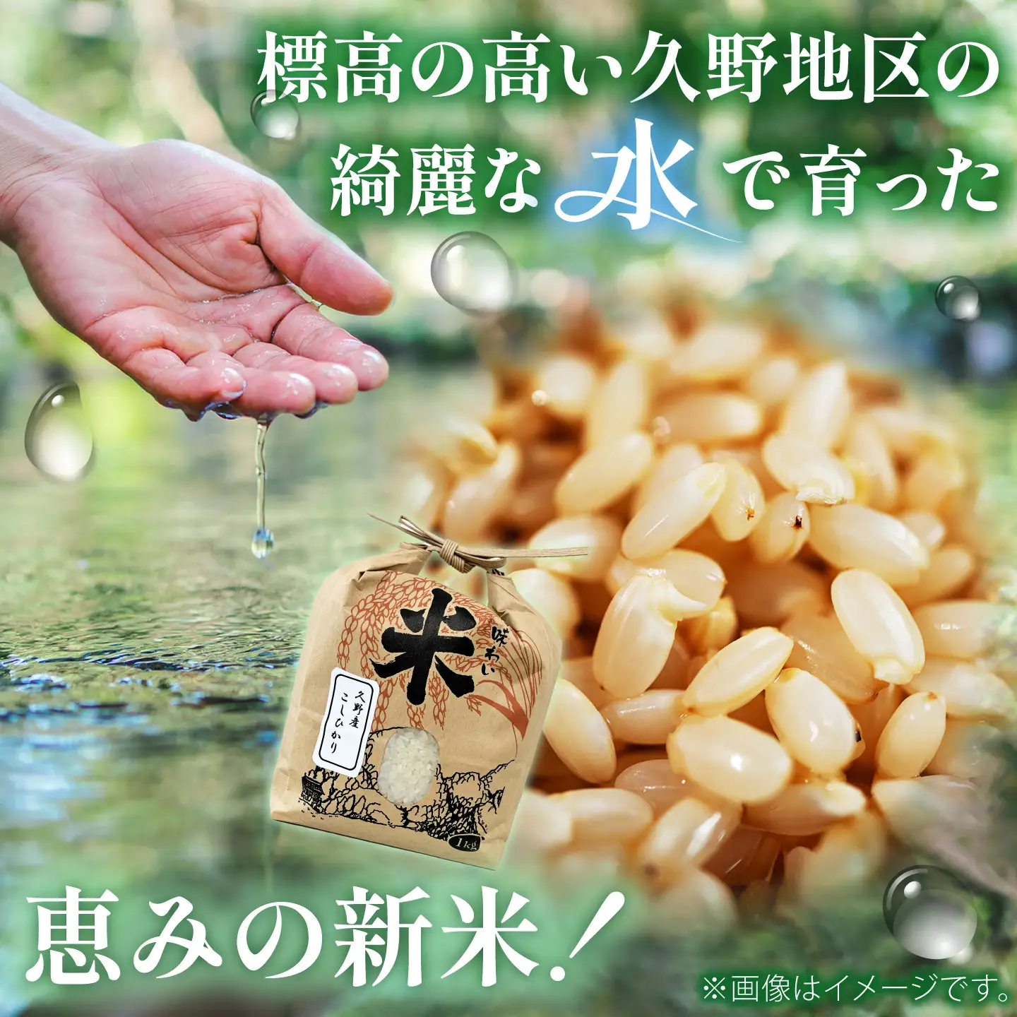 【玄米】先行予約／令和8年産新米 コシヒカリ 10Kg 玄米 [AIAN003]