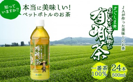 t009-002　【定期便6ヶ月】まじめな甚兵衛どんの有明茶