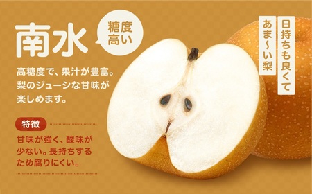 【9月上旬から発送予定】南信州生まれのジューシーで甘い梨「南水梨」 約5kg 12～14玉 糖度14.0以上｜長野県 飯田市