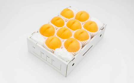 【先行予約】 もも 有袋黄桃 秀品 品種おまかせ 3kg 化粧箱入 フルーツ 果物 2026年産 令和7年産 山形県産 桃 黄桃 モモ 送料無料 ※沖縄・離島への配送不可 ns-mootx3