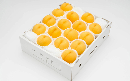 【先行予約】 もも 有袋黄桃 秀品 品種おまかせ 5kg 化粧箱入 フルーツ 果物 2026年産 令和8年産 山形県産 桃 黄桃 モモ 送料無料 ※沖縄・離島への配送不可 ns-mootx5