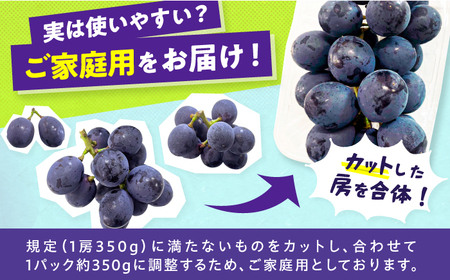 【★先行予約★ 2026年7月下旬より発送】【ご家庭用】種無し巨峰 約350g×4P / ぶどう 巨峰 果物[AFAB086]
