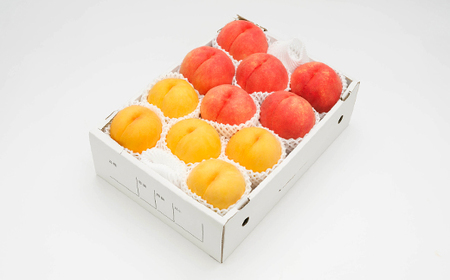 【先行予約】もも 白桃 有袋黄桃 秀品 詰め合わせ 品種おまかせ 3kg フルーツ 化粧箱入 果物 アソート 詰合せ 2026年産 令和8年産 山形県産 桃 黄桃 モモ 送料無料 ※沖縄・離島への配送不可ns-mohot3
