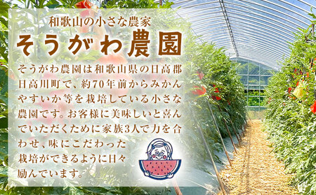 すいか 大玉すいか 祭ばやし 1玉