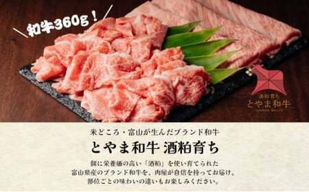 とやま和牛酒粕ごぼ鍋セット　2～3人前 鍋 牛 野菜 詰め合わせ 高岡市 FAD-1473