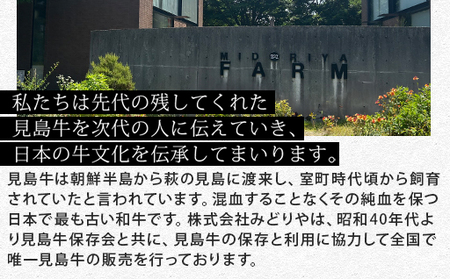 見蘭牛もつ鍋セット（4~5人前）