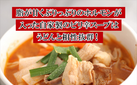 もつ煮込みうどんスープ（10～11人前）