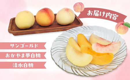 桃 2026年 数量限定 桃3種食べ比べセット 3種×各1玉 計1.0kg以上 岡山県 赤磐市産