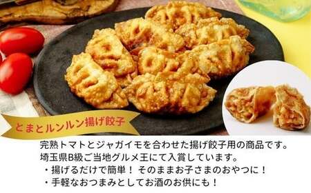 餃子 揚げ餃子 80個 北本トマトカレーセット | ぎょうざ 冷凍 北本フーズ
