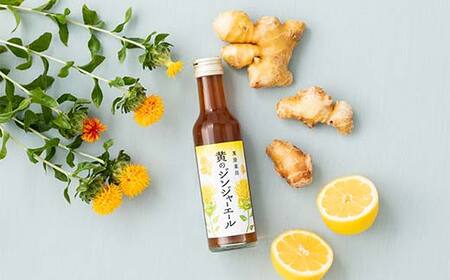 【萬屋薬局】黄のジンジャーエール 180ml×1本 F2Y-6994