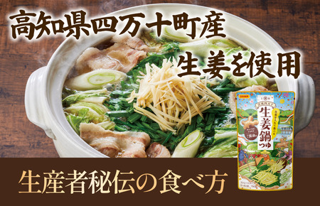 清流四万十 生姜鍋つゆ（3～4人前／袋）750g／袋×10パック【V002910S10】