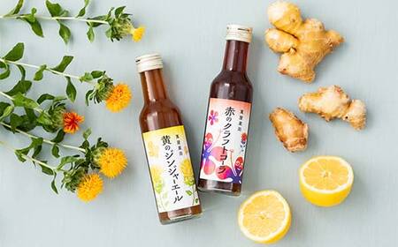 【萬屋薬局】2種飲み比べ2本セット 赤のクラフトコーラ・黄のジンジャーエール F2Y-6996