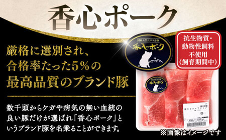 切り落とし ミンチ モモしゃぶセット 計約3kg BHAH002 ミンチ