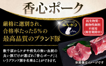 ヒレ肉 とんかつ用 計約600g  BHAH010 ヒレ