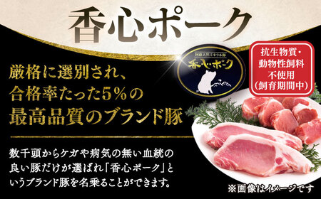 とんかつ食べ比べ 計約1.2kg ヒレ BHAH012 ヒレ