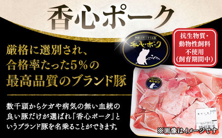 切り落とし メガ盛り(計約2kg) 豚肉切り落とし BHAH009