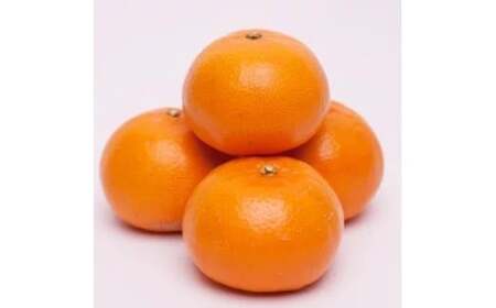 厳選 せとか 2.5kg+250g（痛み補償分） 光センサー / 高級 甘い 和歌山 柑橘 ※2月中旬～3月下旬頃発送 ※北海道・沖縄・離島への配送不可 【ikd014-p-2d5A】