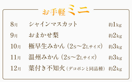 プレミアム フルーツ 定期便 5ヶ月連続 秀品 ミニ 計11kg 日本フルーツ株式会社《8月上旬-12月末頃出荷》熊本県 荒尾市 シャインマスカット おまかせ 梨 極早生みかん 温州みかん 葉付き 不知火 果物 フルーツ スイーツ デザート ギフト ご贈答