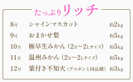 プレミアム フルーツ 定期便 5ヶ月連続 秀品 リッチ 計20kg 日本フルーツ株式会社《8月上旬-12月末頃出荷》熊本県 荒尾市 シャインマスカット おまかせ 梨 極早生みかん 温州みかん 葉付き 不知火 果物 フルーツ スイーツ デザート ギフト ご贈答