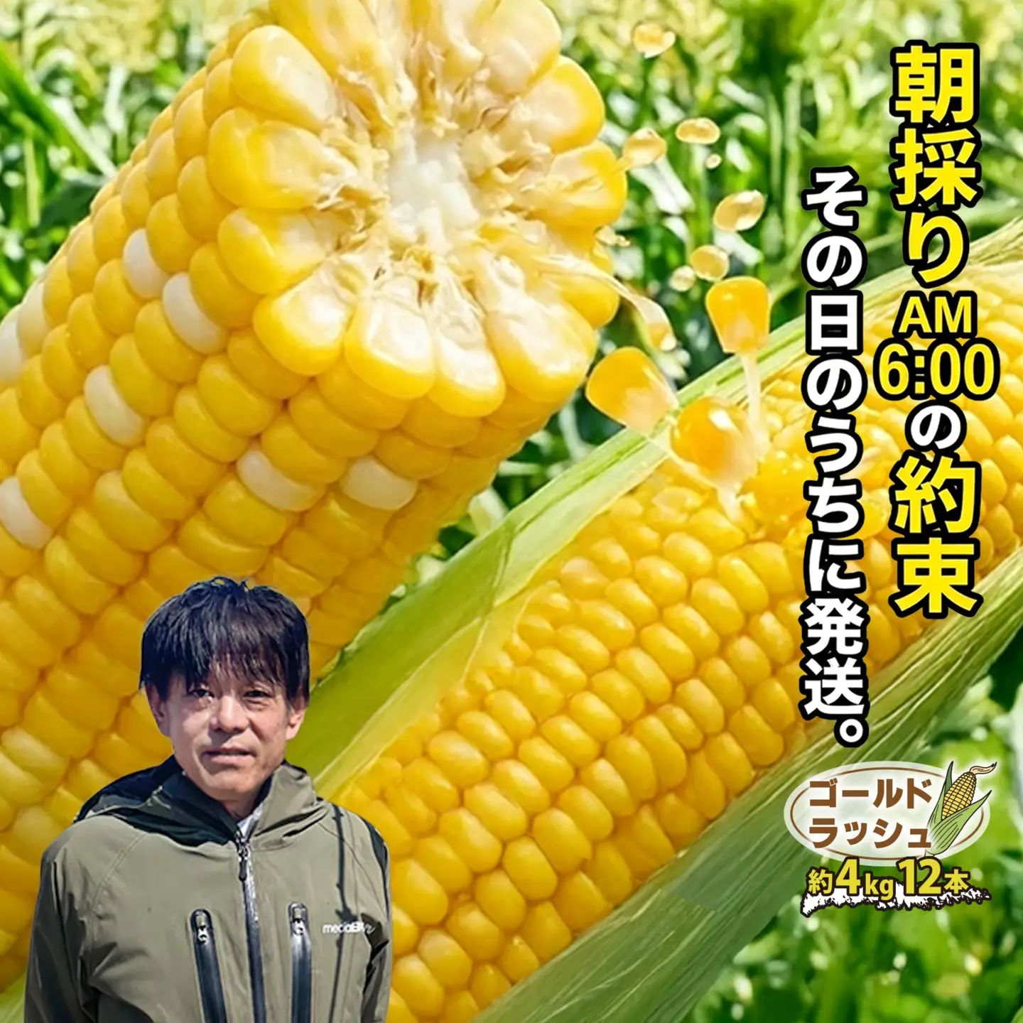 ＜2026年発送先行予約＞山梨県産 とうもろこし（ゴールドラッシュ）12本入り（約4kg）ALPES001