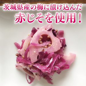【水戸市優良観光土産品】Shamrock 粒マスタード 梅香 6個（FE-19）