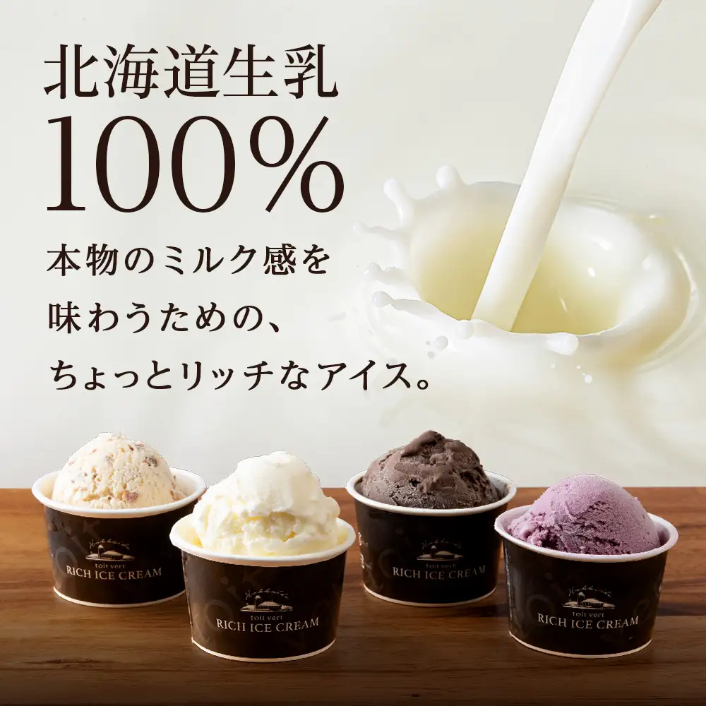 リッチアイスクリーム 16個セット（100ml）【 4種 × 各4個】
