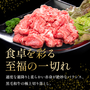 牛肉 赤身 切り落とし 1kg 定期便 6回