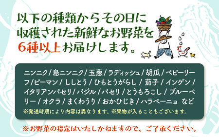 【先行予約】お野菜セット 旬の夏野菜と平飼い卵のお楽しみボックス【2026年7月上旬以降順次発送予定】 [m75-a002]