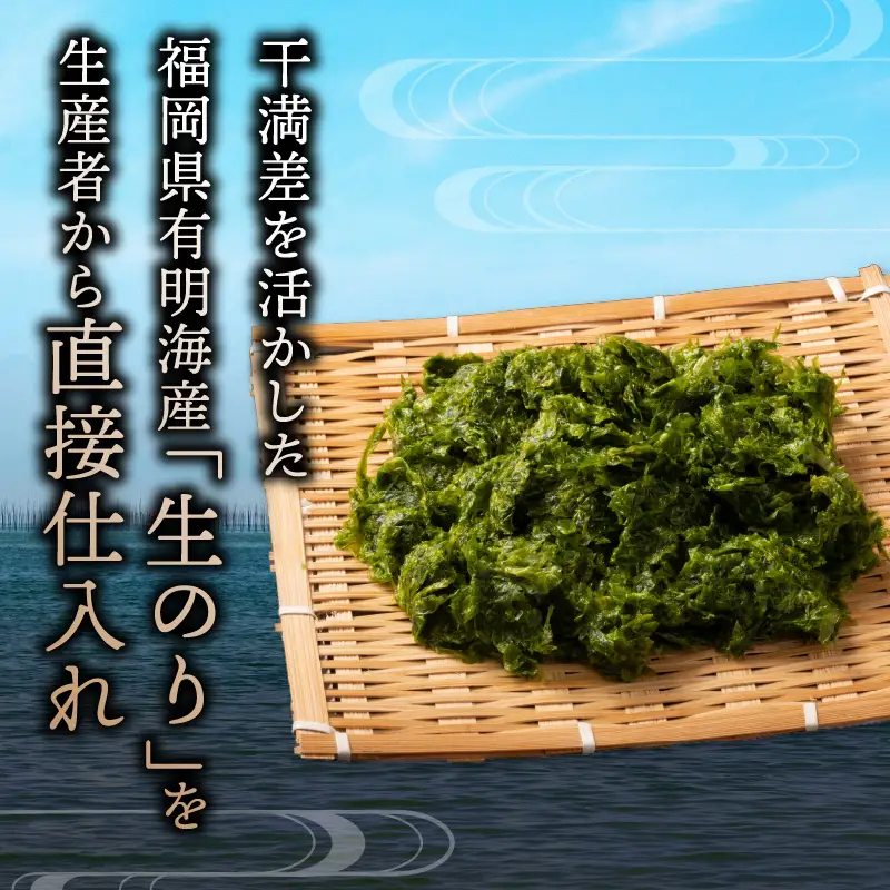 とろける食感 有明のり佃煮 食べきりサイズ 12食【メール便】 のり 海苔 海苔の佃煮 有明海産 生のり ポスト投函 個包装 食べきり 常温保存 お弁当 非常食 福岡 八女 ポスト投函 簡易包装 訳あり 200-004