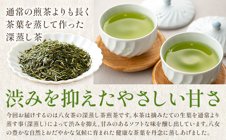 八女茶 深蒸し 茶煎茶 100g 株式会社ＪＳＥ《30日以内に出荷予定(土日祝除く)》 福岡県 小竹町 お茶 煎茶 深蒸し茶 お茶 茶葉 お茶の葉 お茶葉 煎茶 国産 日本茶 飲物 飲み物 飲みもの のみもの