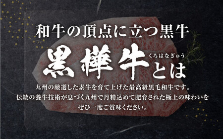 黒樺牛 肉厚サーロインステーキ 計約900g（約300g×3パック） 肉厚 サーロイン ステーキ サーロインステーキ 黒毛和牛 和牛 牛肉 牛