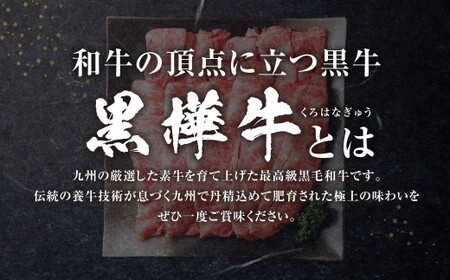 黒樺牛 肩ローススライス 計約1.05kg（約350g×3パック） 肩ロース ロース スライス 黒毛和牛 和牛 牛肉 牛