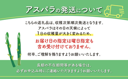 先行予約 2026年 夏アスパラガス 約1.2kg ＋100g M～L 混合 古川農園 ※オンライン決済限定 野菜 アスパラガス アスパラ 栄養豊富 ほんのり甘い 肉質しっかり あっさり おつまみ 料理 