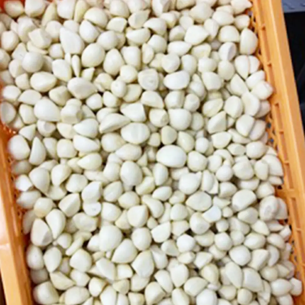 あきたしらかみにんにく 冷凍ペースト 1kg（約200g×5袋）　60P3218