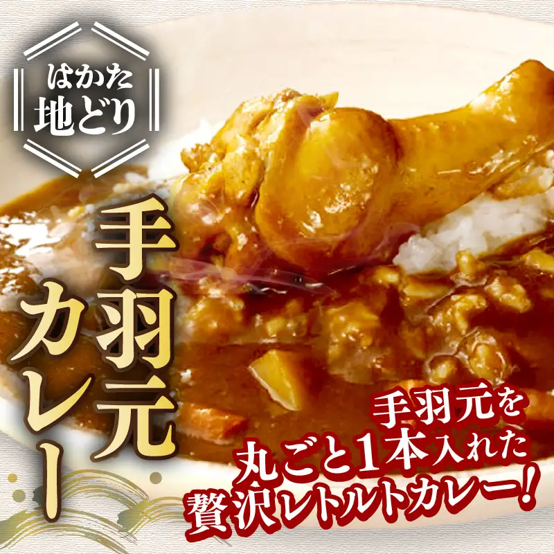 はかた地どり 手羽元カレー【A-861】