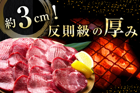 牛タン 厚切り 訳あり 塩味厚切り牛タン500g 2P 計1kg [上球磨農産 熊本県 五木村 51120346]