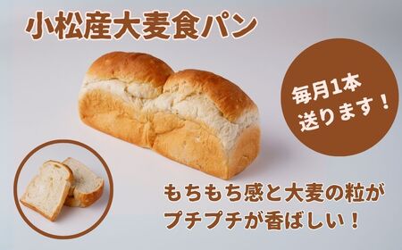 【三ヶ月定期便】小松産大麦食パンと月替わり食パンたちセット 