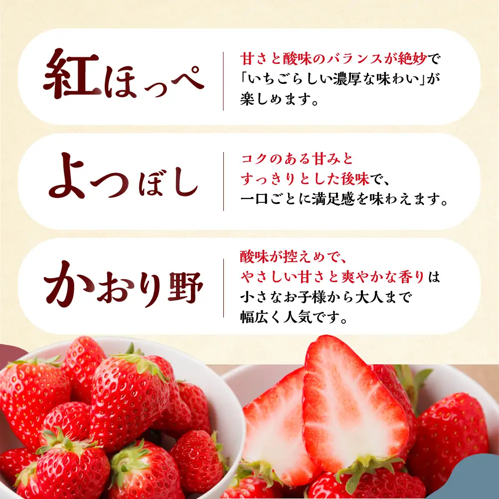 【定期便5回】【2027年1月以降発送開始】自宅用 いちご 紅ほっぺ 600-700g ×5回 [しあわせ苺] サイズ バラバラ 訳あり 訳アリ 農園直送｜フルーツ スイーツ 苺 イチゴ 人気 簡易梱包 家庭用 産地直送 いちご こだわりの 甘さ 岐阜県 本巣市 先行予約 [mt1801]  family農園watanabe