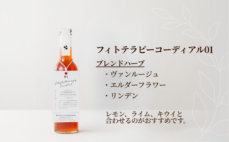 フィトテラピー コーディアル 285ml × 3本セット 化粧箱入 ｜ ハーブティー